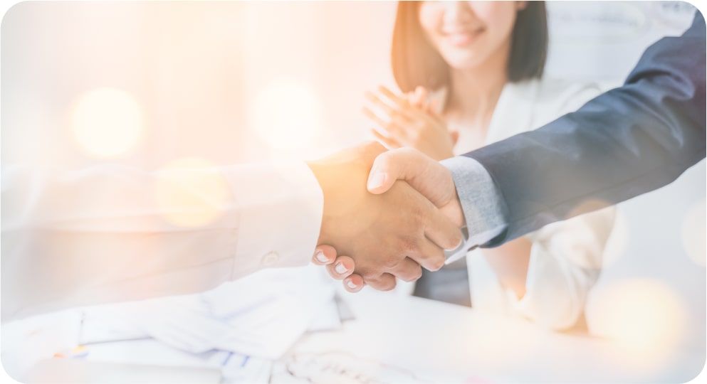 Strategic Partner Programme